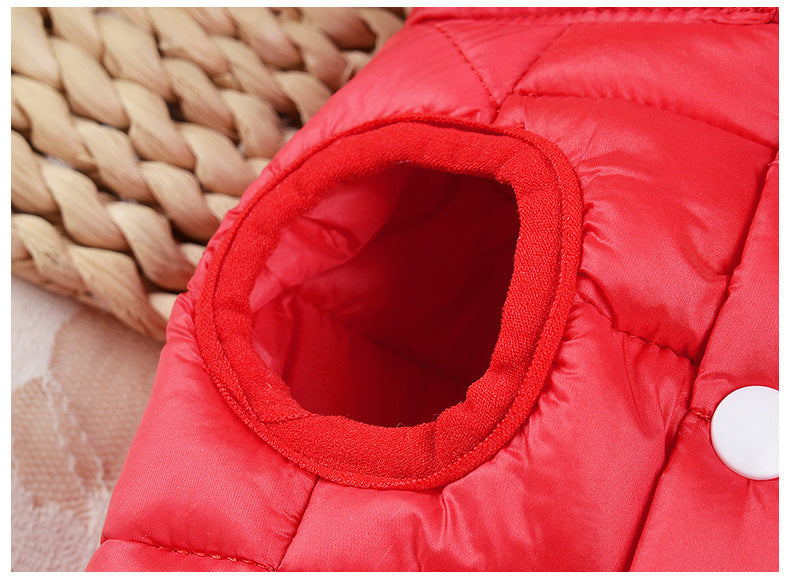 Small Dog or Cat Teddy Autumn Autumn Winter Thermal Padded Coat