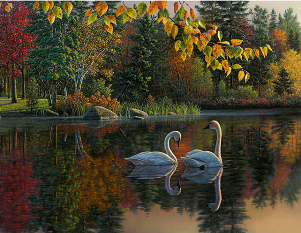 Autumn Swans Painting By Numbers Kit