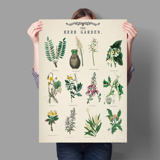 Vintage Herb Garden Botanical Education Poster Wall Art Print